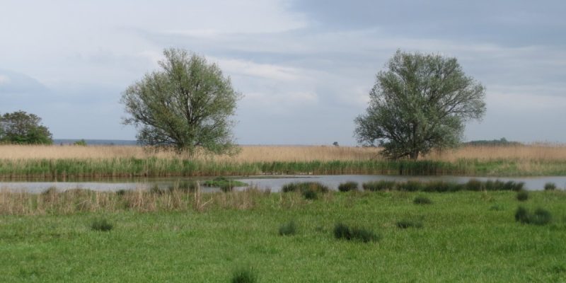 Der Spieß - An der Spießbrücke