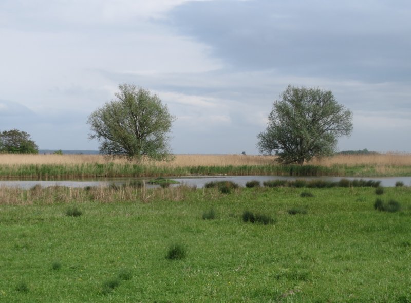 Der Spieß - An der Spießbrücke