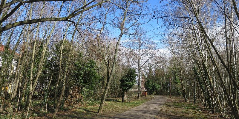 Hans-Dörr-Park