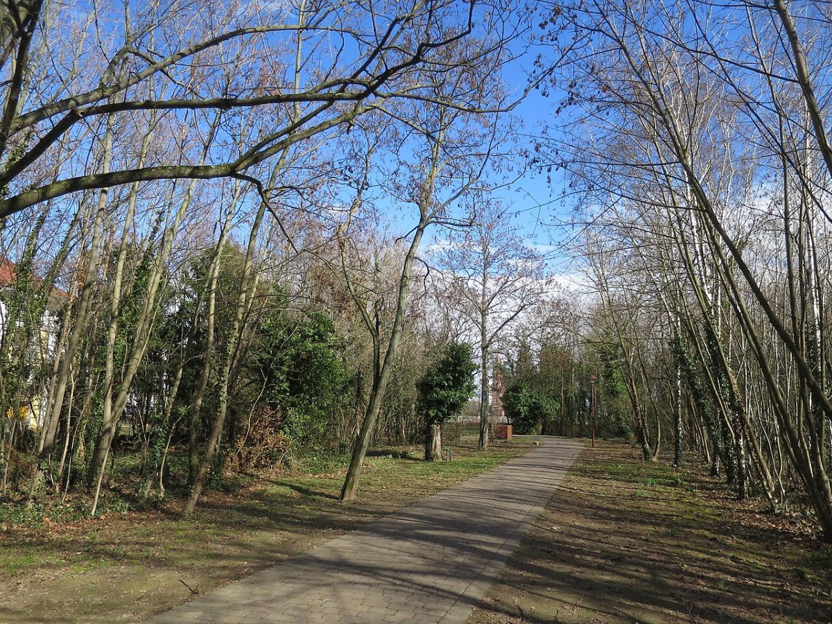 Hans-Dörr-Park