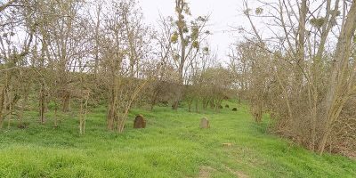 Jüdischer Friedhof Herrnsheim