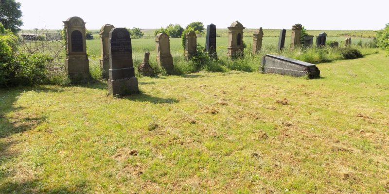 Jüdischer Friedhof Pfeddersheim