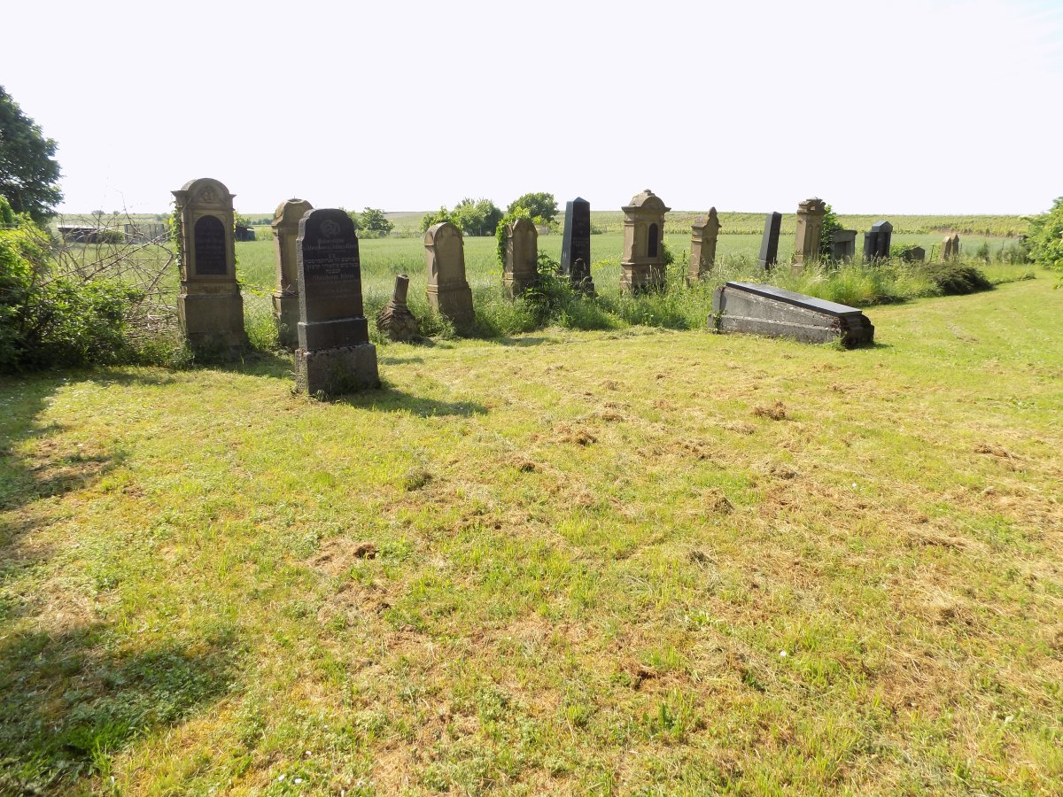 Jüdischer Friedhof Pfeddersheim