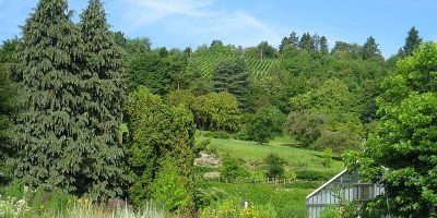 Botanischer Garten