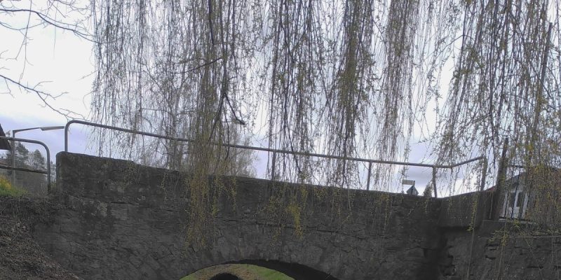 Naturdenkmäler in Würzburg