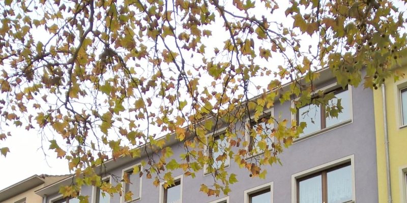 Evangelisch-methodistische Kirche