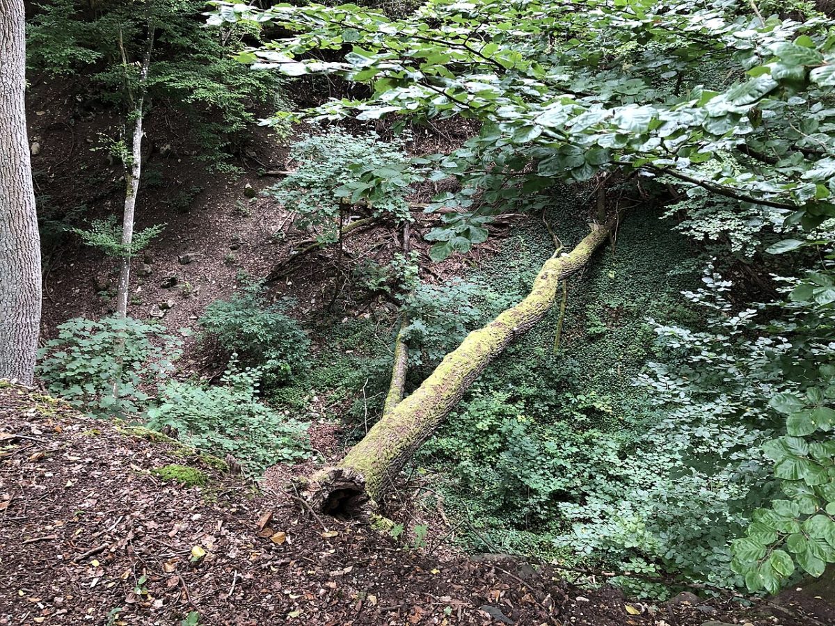 Guggelesgraben