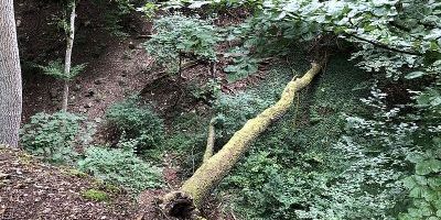 Guggelesgraben