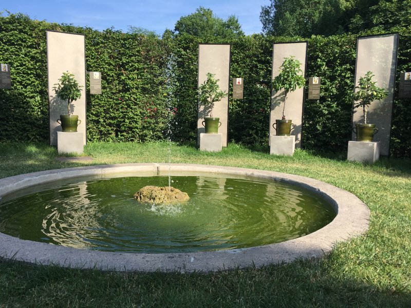 Springbrunnen in der Obstorangerie