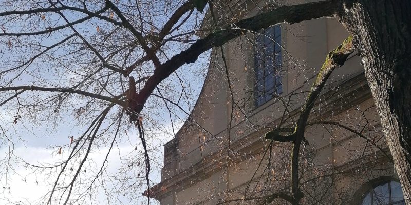 St. Rochus