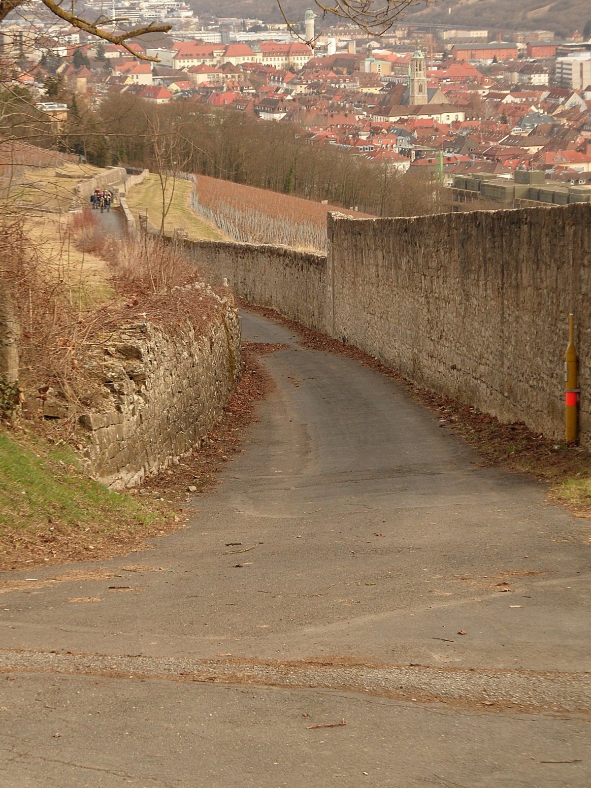 terroir f Würzburg