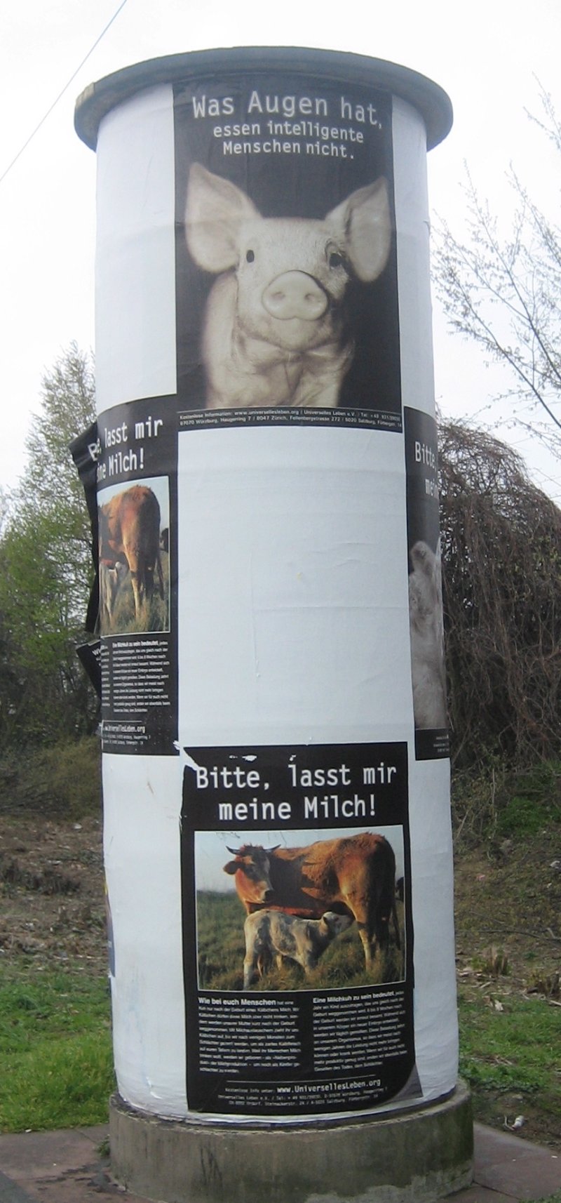 Universelles Leben