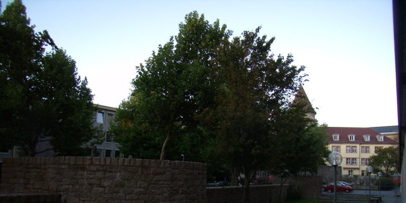 Zwingerturm 37