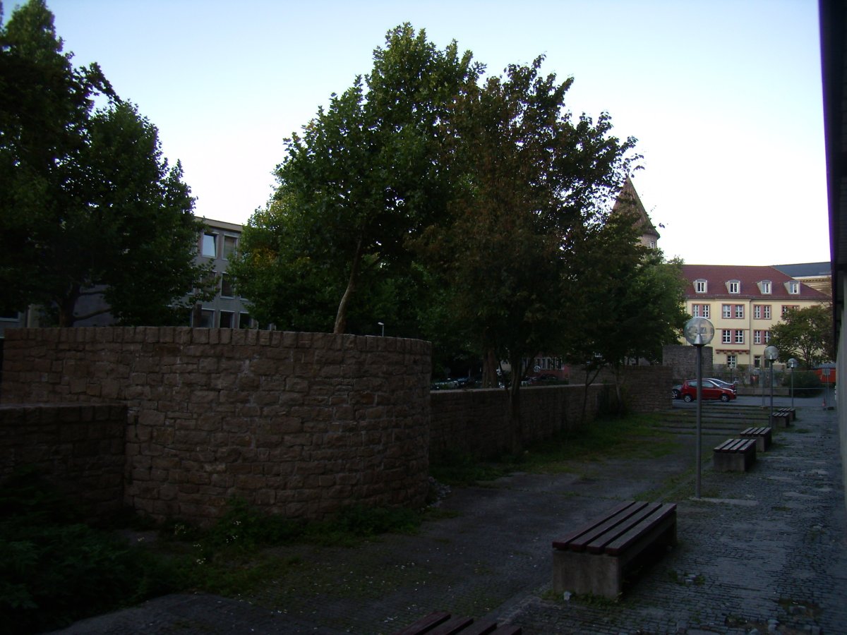 Zwingerturm 37