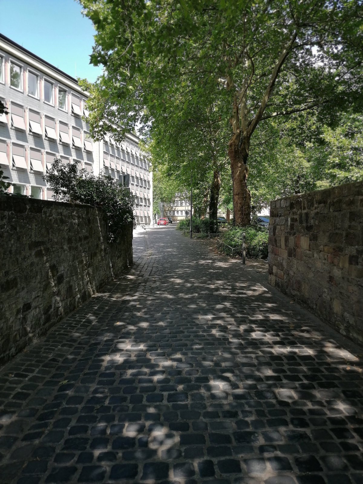 Zwingerturm 38