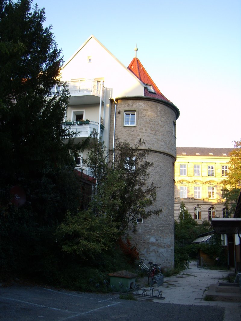 Zwingerturm 40