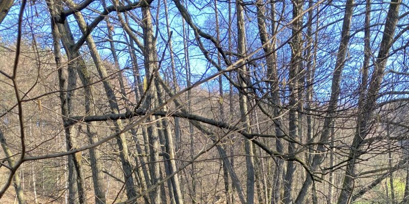 Deilbachtal