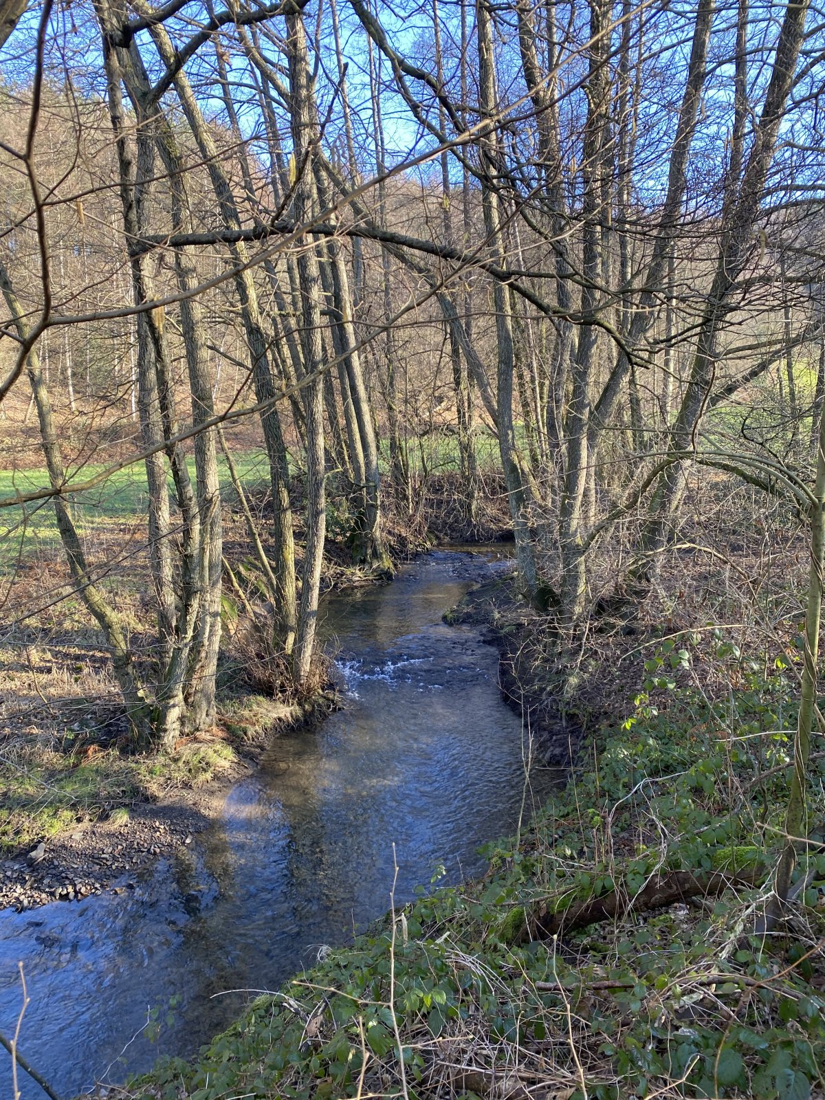 Deilbachtal