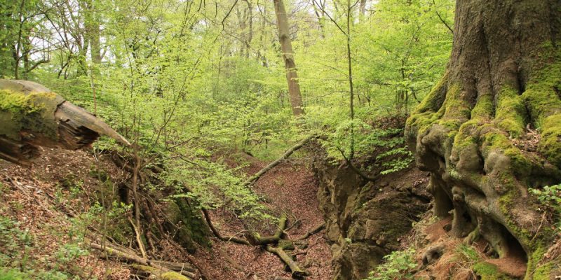 Dolinengelände im Hölken