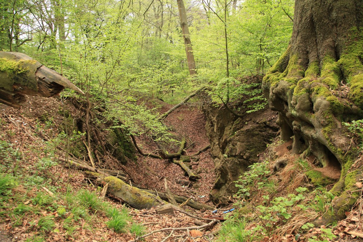Dolinengelände im Hölken