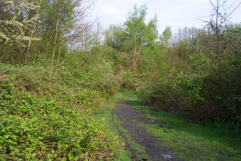 Eskesberg