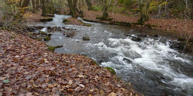Fließgewässersystem Gelpe- und Saalbachtal
