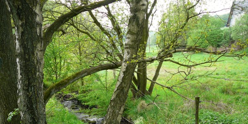 Hardenberger Bachtal