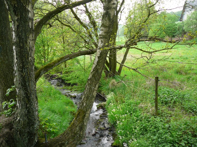 Hardenberger Bachtal