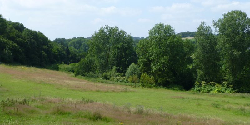 Hasenkamp und Junkersbeck