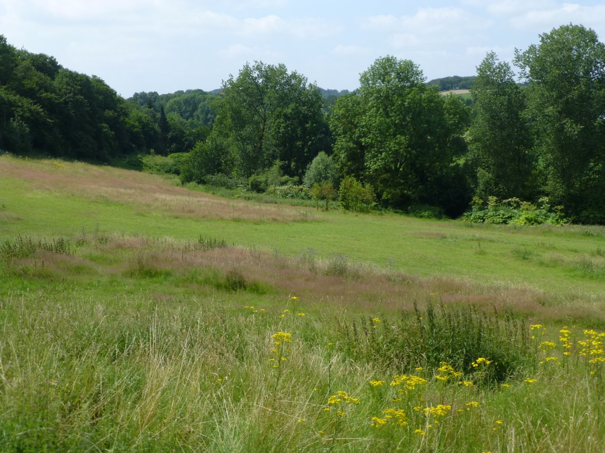 Hasenkamp und Junkersbeck