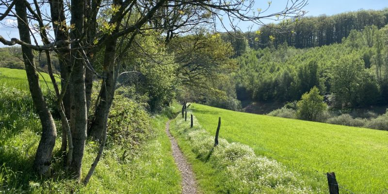 Hengstener Bachtal