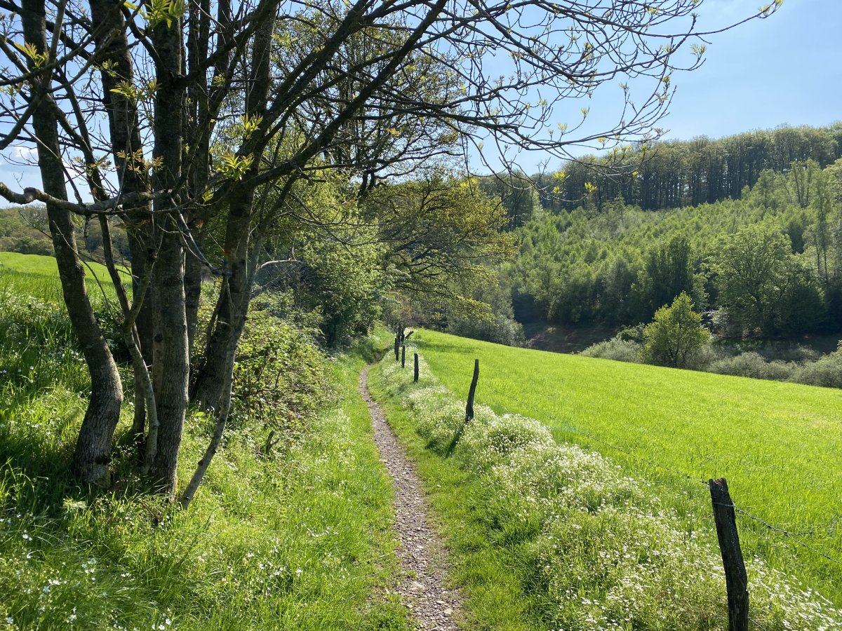 Hengstener Bachtal