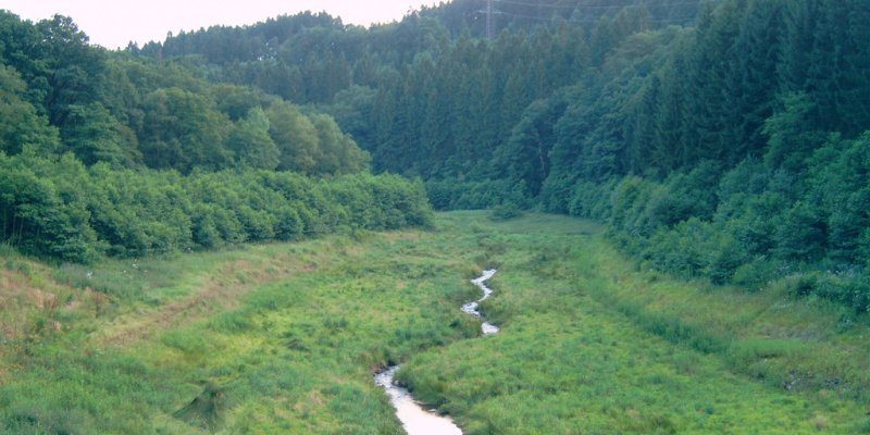 Herbringhauser Bach