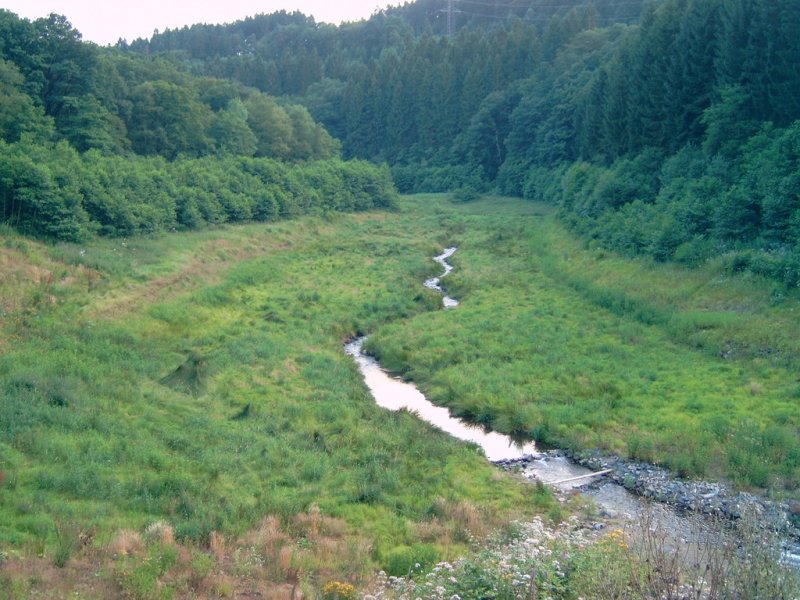 Herbringhauser Bach