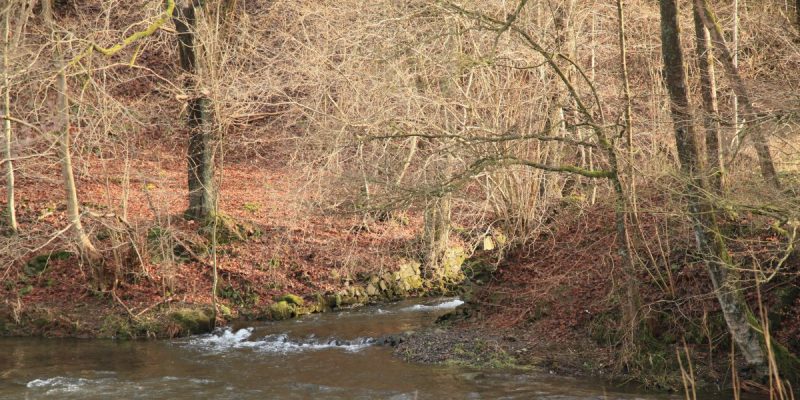 Herbringhauser Bachtal