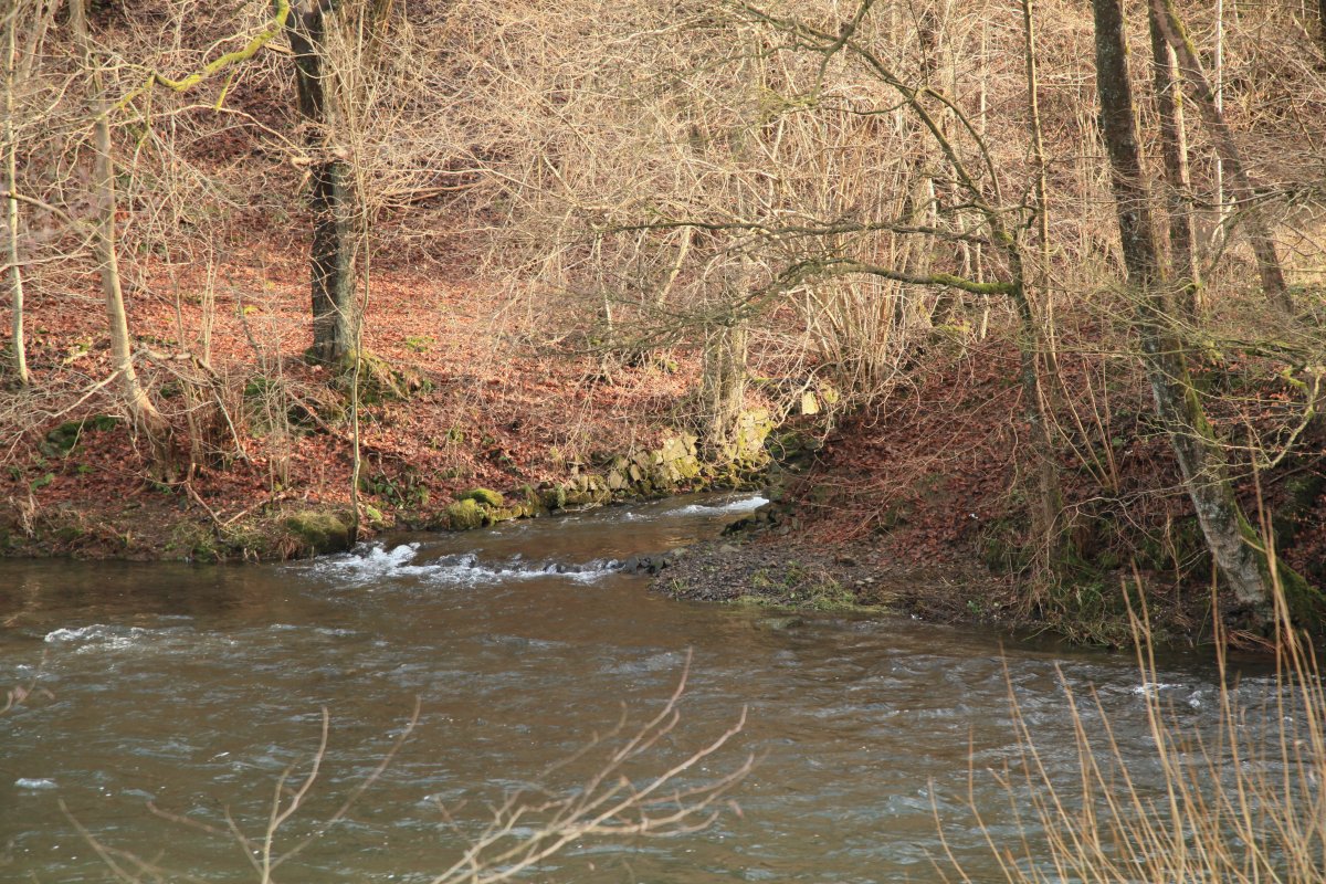 Herbringhauser Bachtal