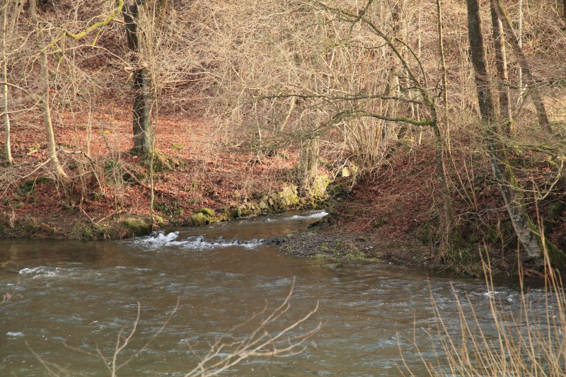 Herbringhauser Bachtal
