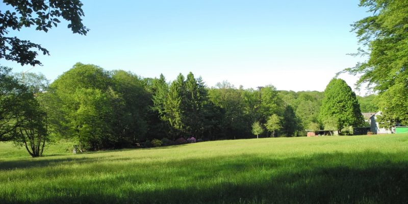 In der Hagerbeck