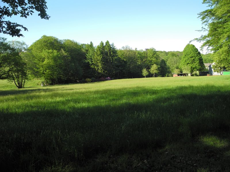In der Hagerbeck
