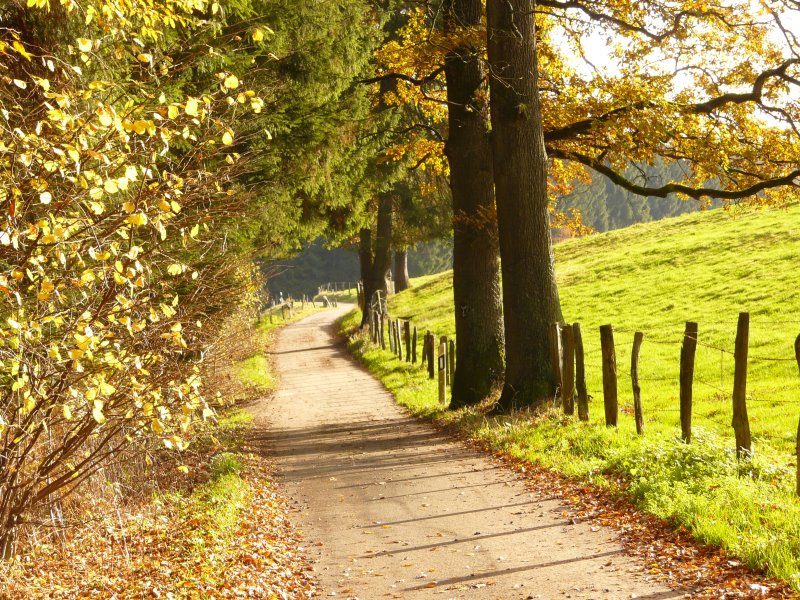 Marscheider Bachtal