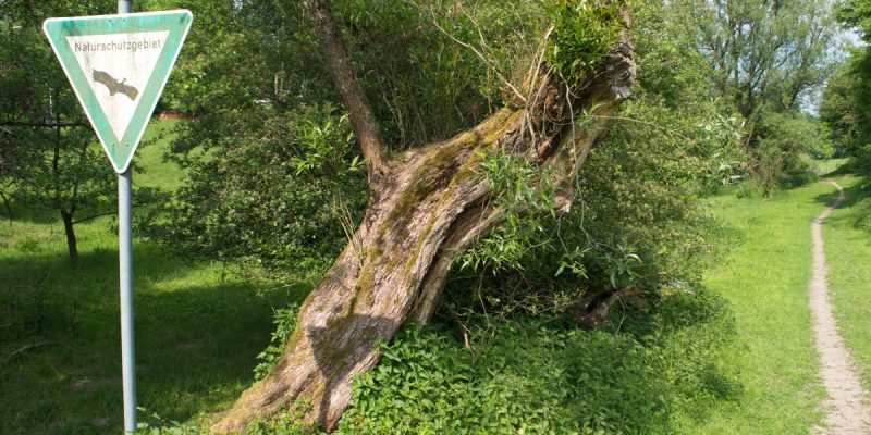 Murmelbachtal