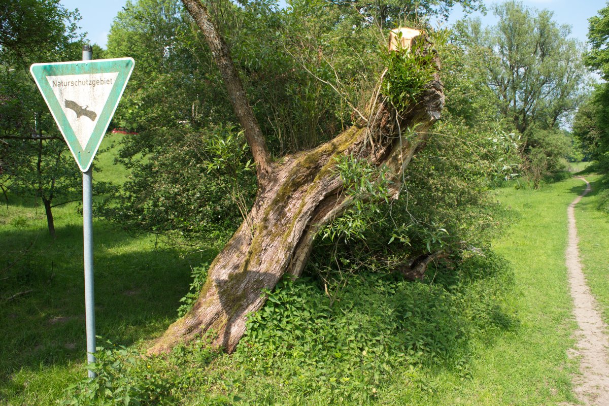 Murmelbachtal