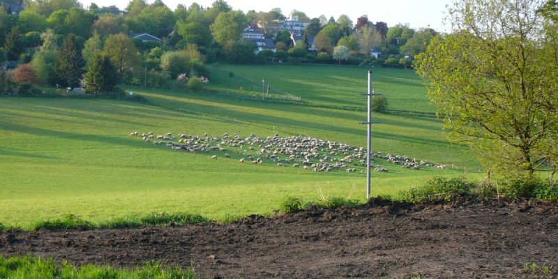 Naherholungsgebiet Scharpenacken