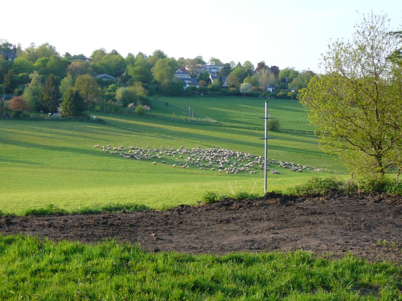 Naherholungsgebiet Scharpenacken