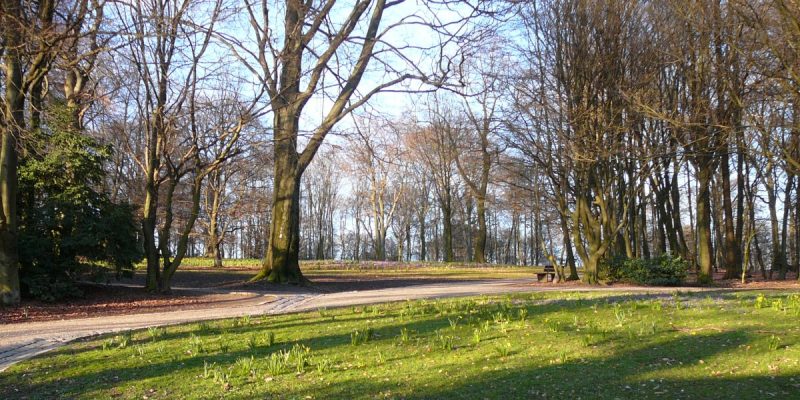 Nützenbergpark
