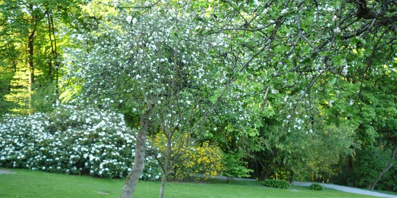 Vorwerk-Park