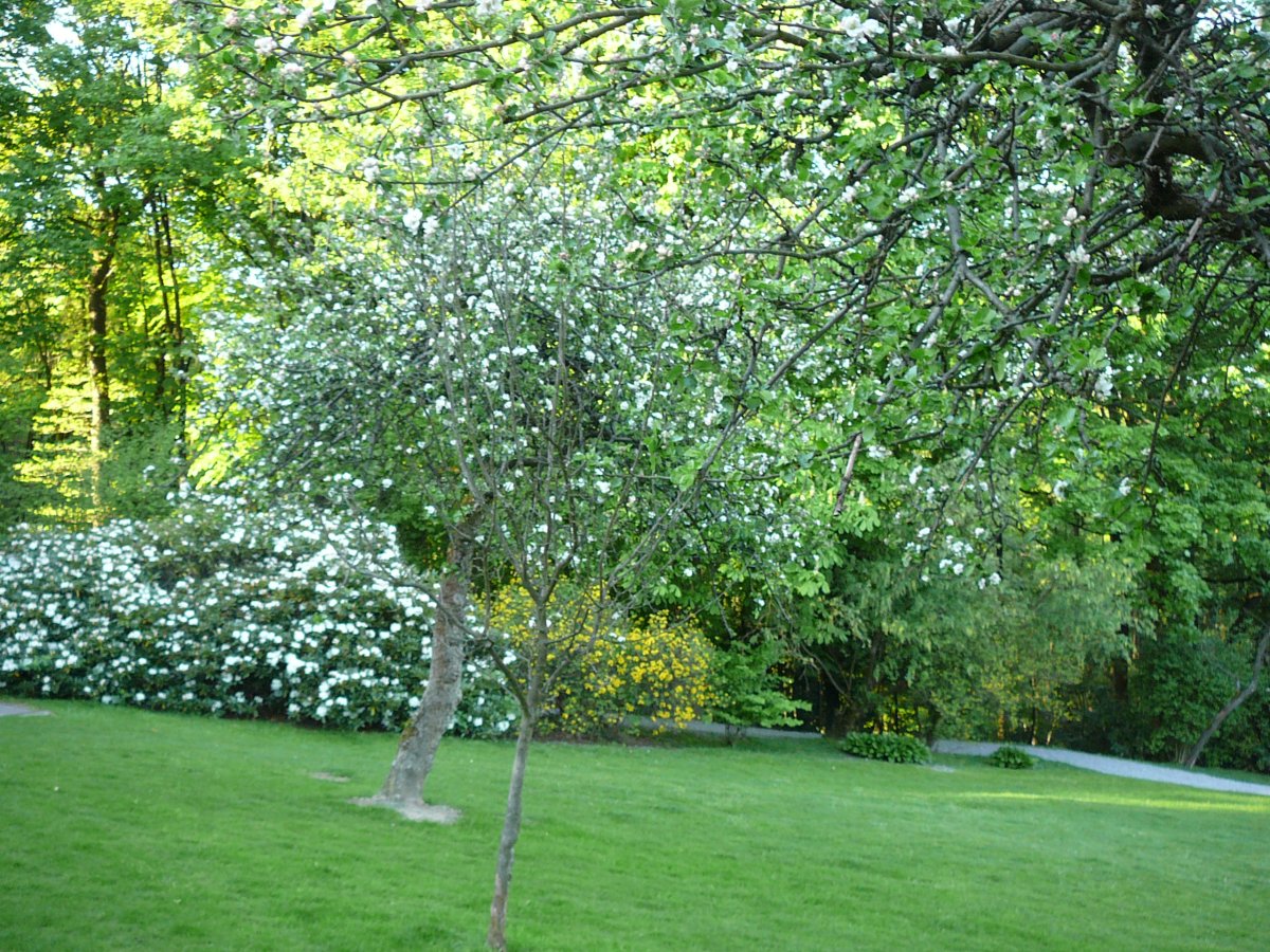 Vorwerk-Park